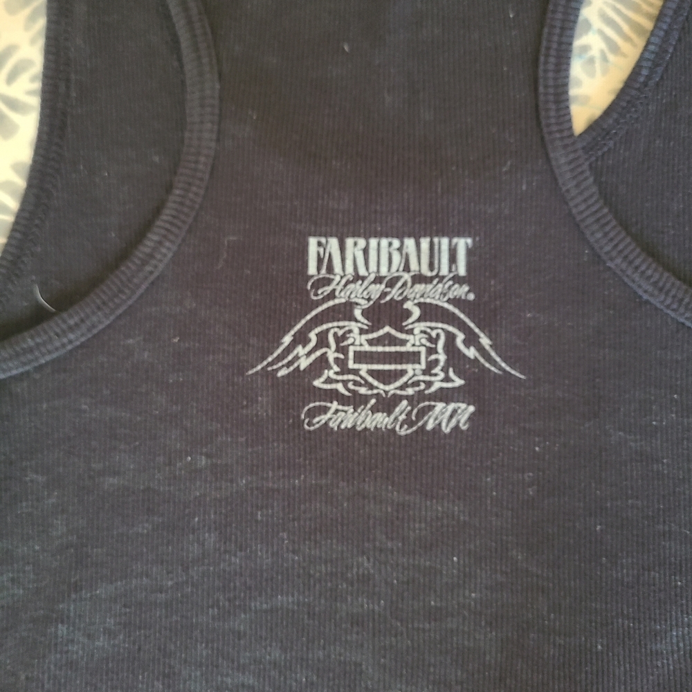 Harley-Davidson tank - Picture 4 of 5